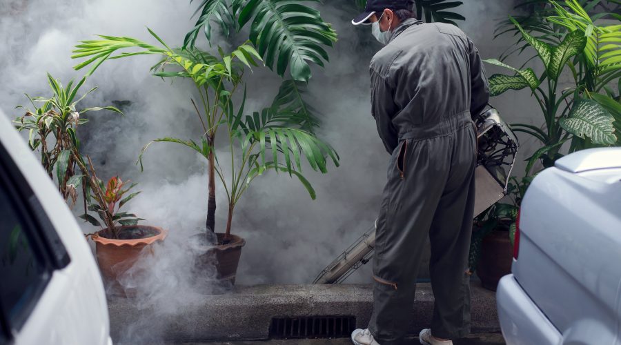 Man work fogging to eliminate mosquito for preventing spread dengue fever and zika virus