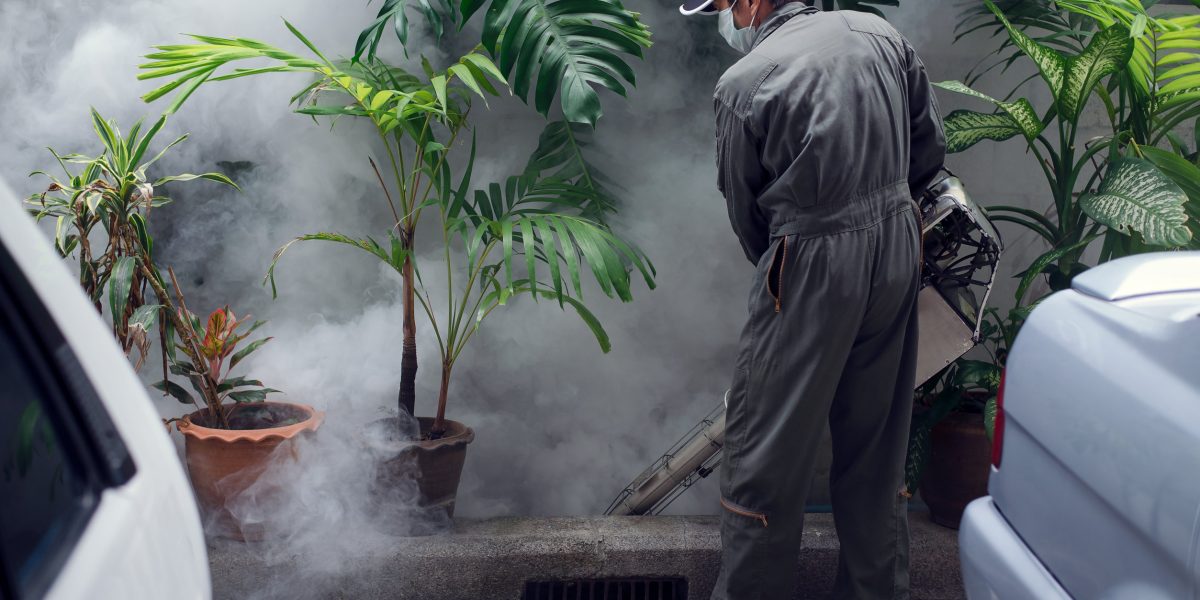 Man work fogging to eliminate mosquito for preventing spread dengue fever and zika virus
